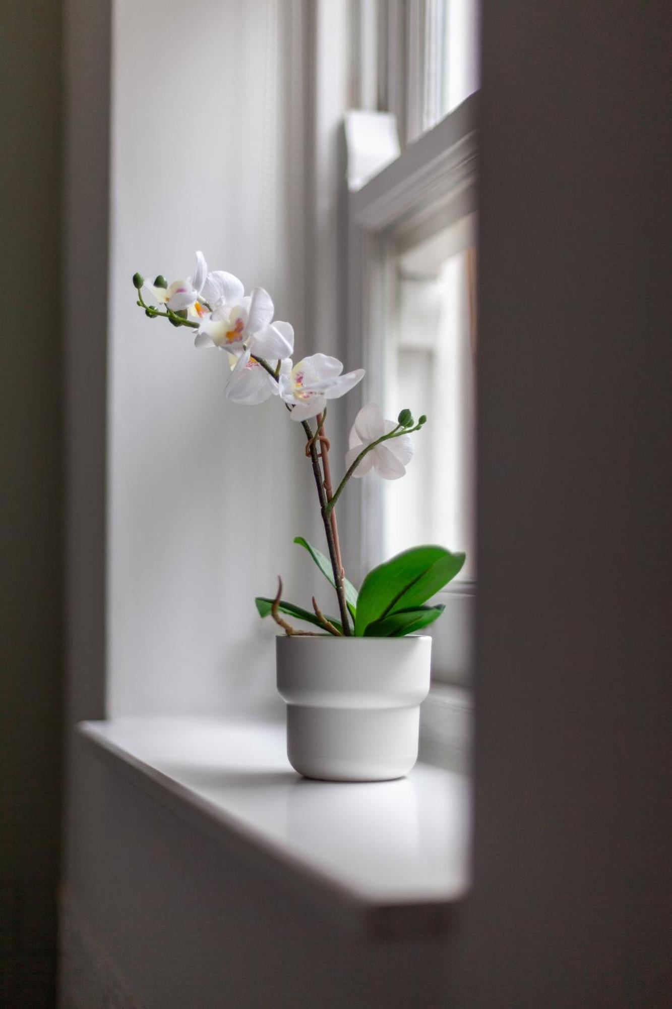 The Hackney Luxury Flat Londres Exterior foto